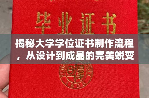 任城揭秘大学学位证书制作流程，从设计到成品的完美蜕变