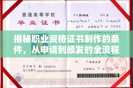 任城揭秘职业资格证书制作的条件，从申请到颁发的全流程解析
