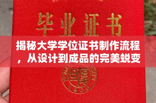 任城揭秘大学学位证书制作流程，从设计到成品的完美蜕变