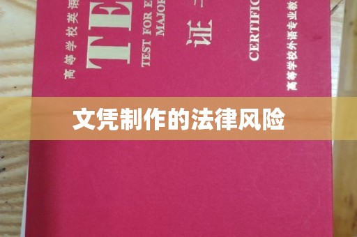 任城文凭制作的法律风险