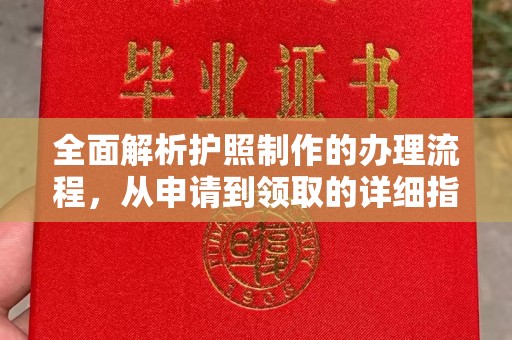 任城全面解析护照制作的办理流程，从申请到领取的详细指南