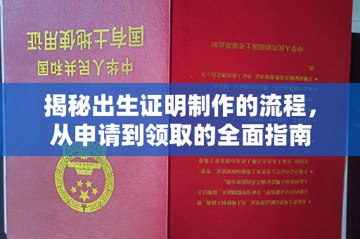 任城揭秘出生证明制作的流程，从申请到领取的全面指南