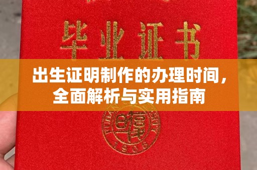 任城出生证明制作的办理时间，全面解析与实用指南