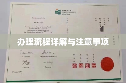 任城办理流程详解与注意事项
